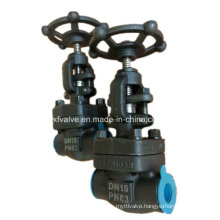 DIN Forged Carbon Steel A105 Thread End NPT Globe Valve